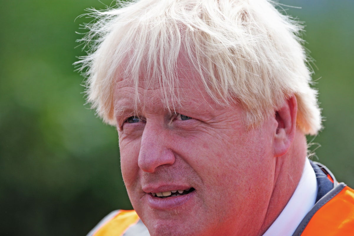 Boris Johnson: Großbritannien wird wieder in den Orbit der EU gezogen, wenn Labour übernimmt