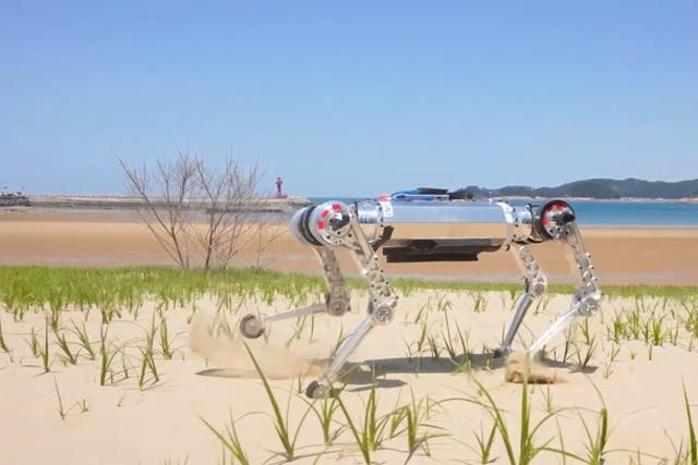 <p>'Robot dog' can tackle sand dunes at three metres per second in tech first</p>