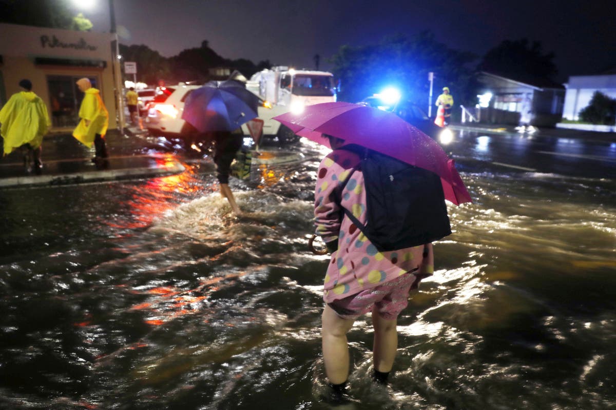 Rain pounds northern New Zealand; further flooding expected The