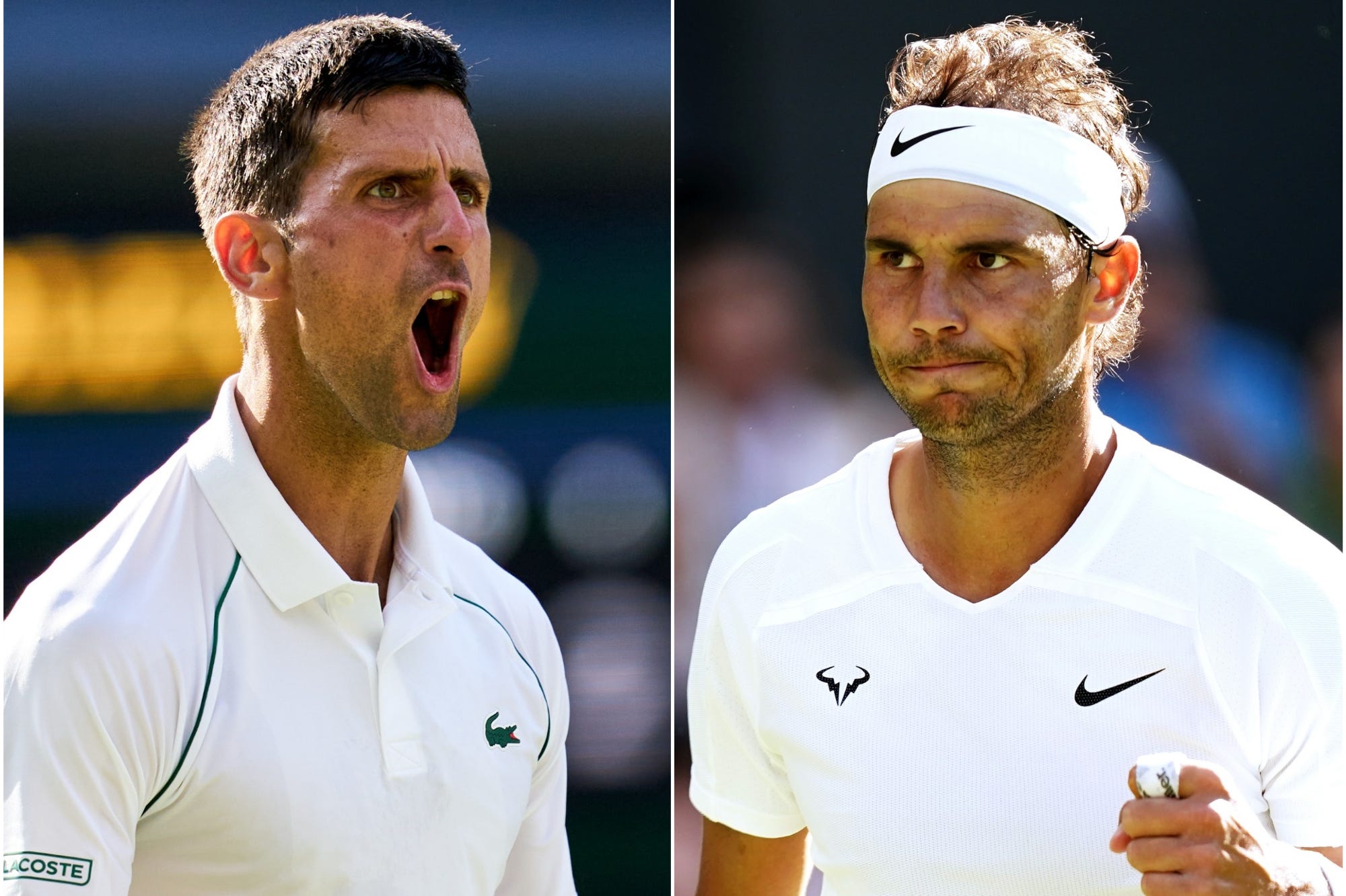 Novak Djokovic vs Rafael Nadal Who will win the most grand slams? The Independent