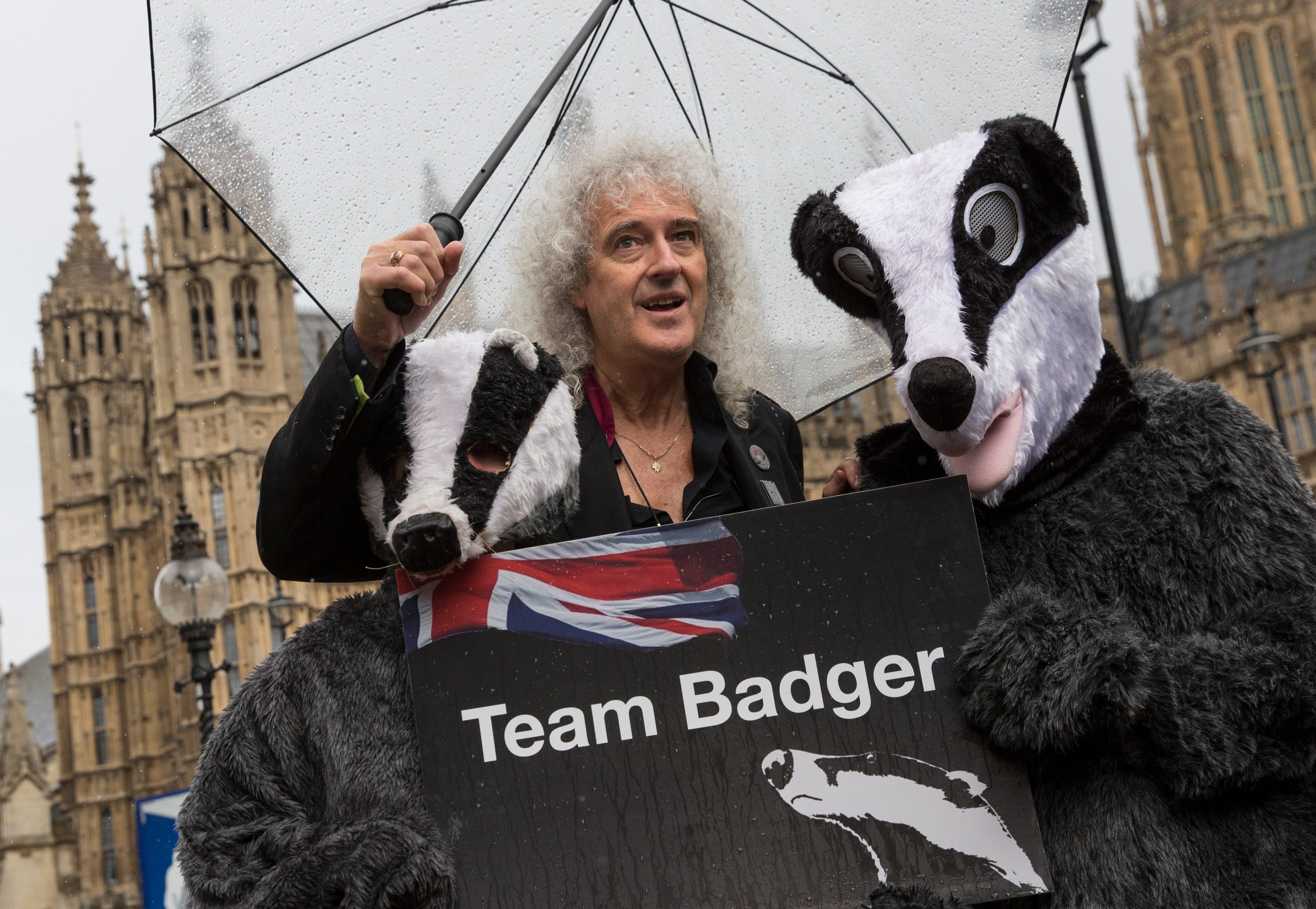 May protesting against badger culling in 2016