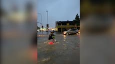 New Zealand floods: E-scooter riders attempt to navigate submerged Auckland road