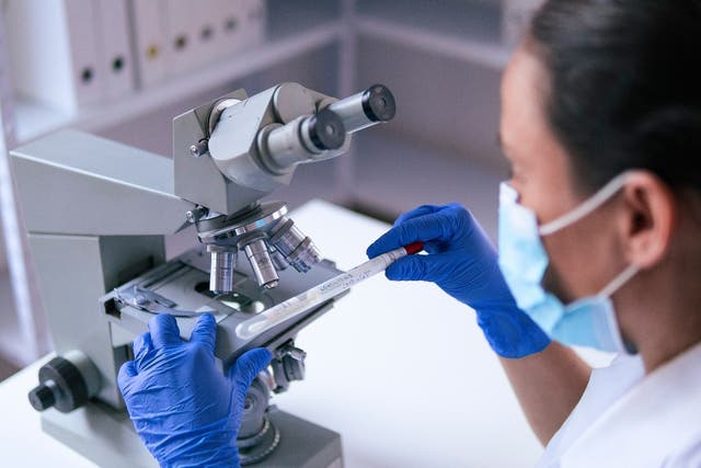 Un investigador de laboratorio que examina muestras de microbiología a través de un microscopio médico