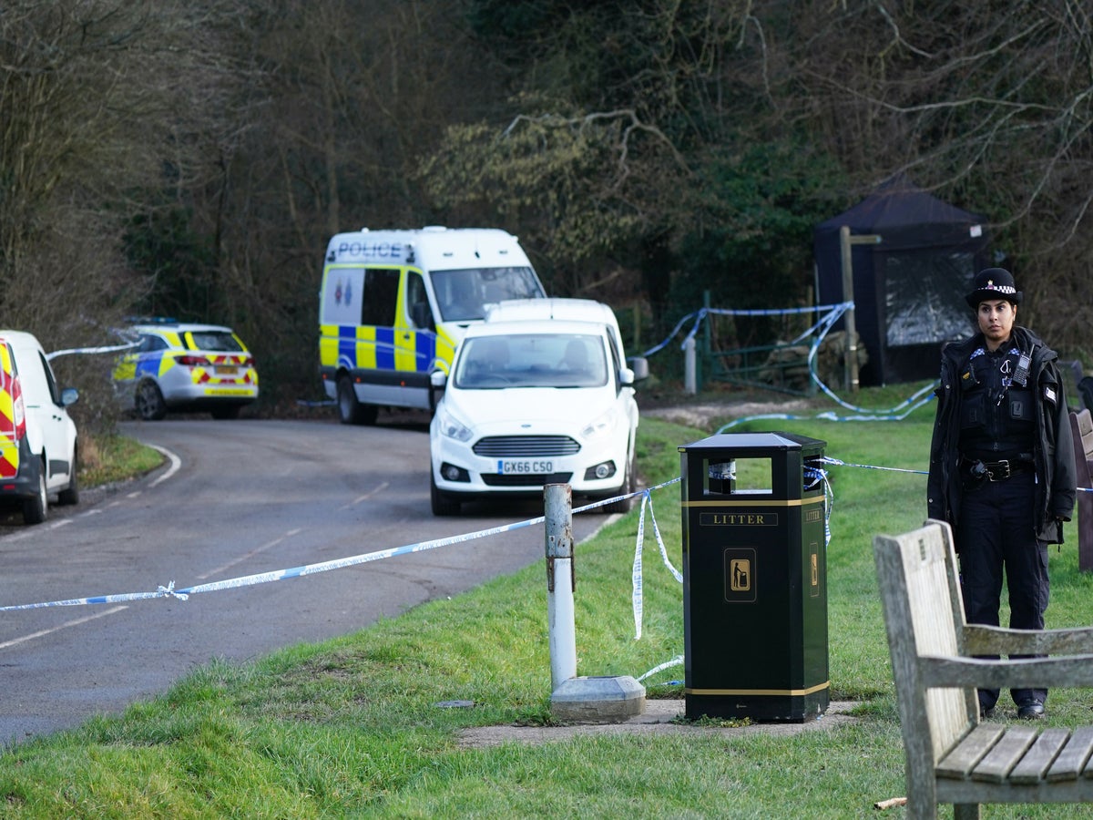 Dog walker horrifically mauled to death while walking eight in a