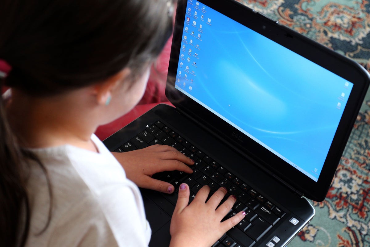 Peers urge government to 'change course' on online safety bill