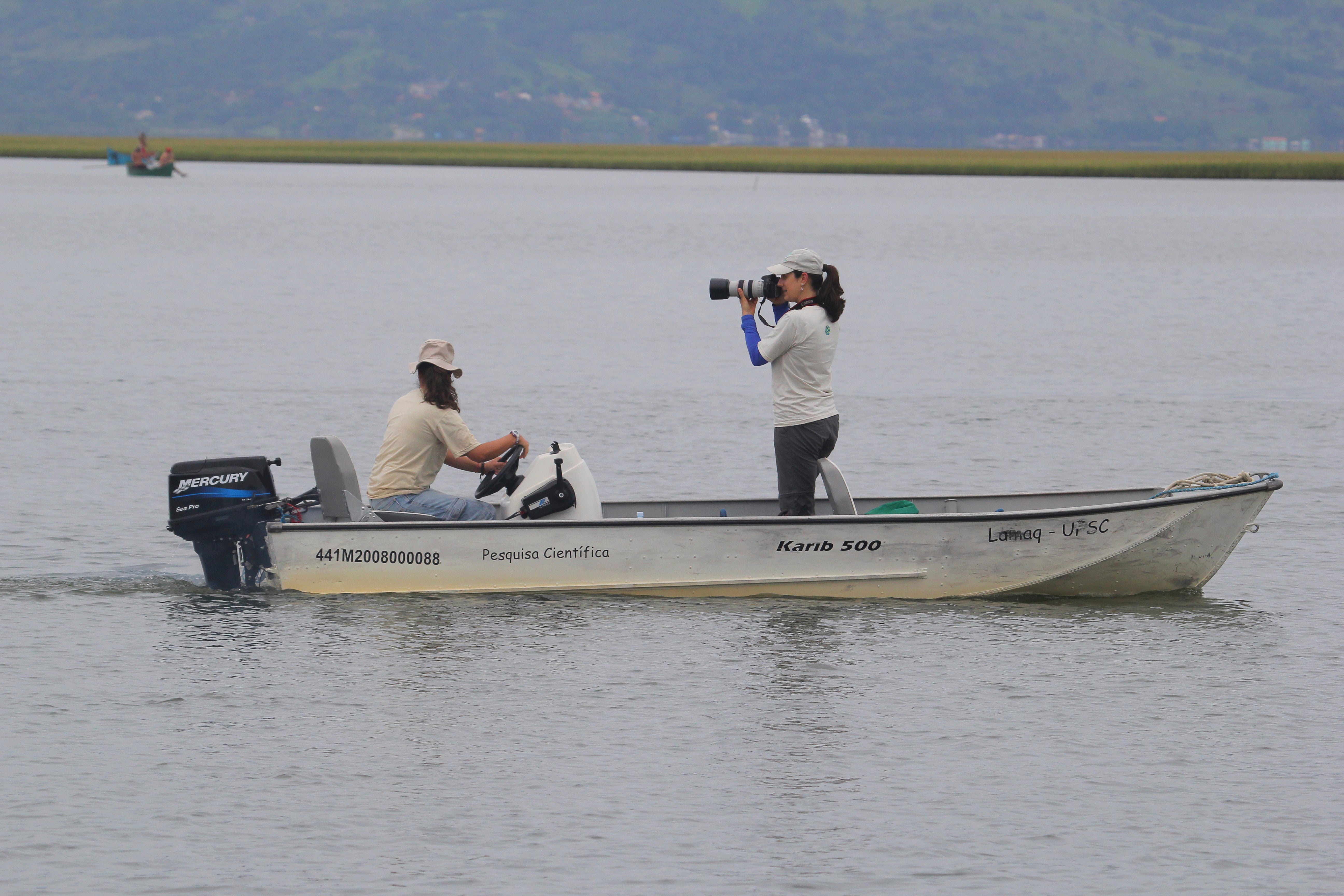Brazil Dolphins Help Fishermen