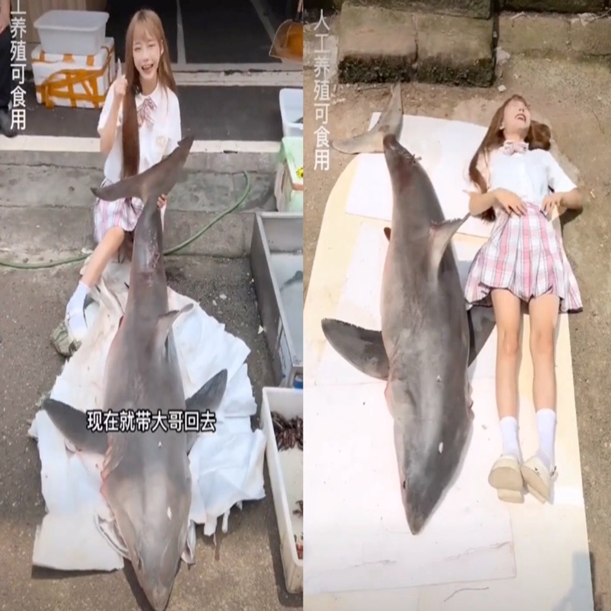 Chinese food blogger fined $18,500 after cooking and eating great white  shark | The Independent