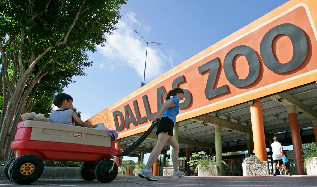 Monkeys taken from Dallas Zoo in latest suspicious incident