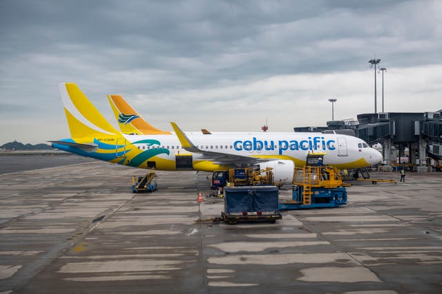 <p>The incident happened on a Cebu Pacific plane in Davao, Philippines</p>