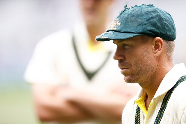 <p>David Warner has played more than 100 Tests for Australia </p>