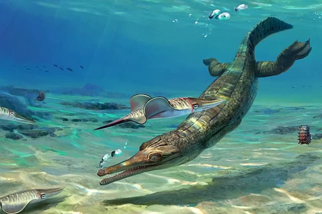 <p>Thalattosuchians became very well adapted to life in the oceans</p>
