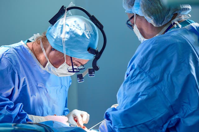 <p>Woman undergoes rhinoplasty (Stock) </p>
