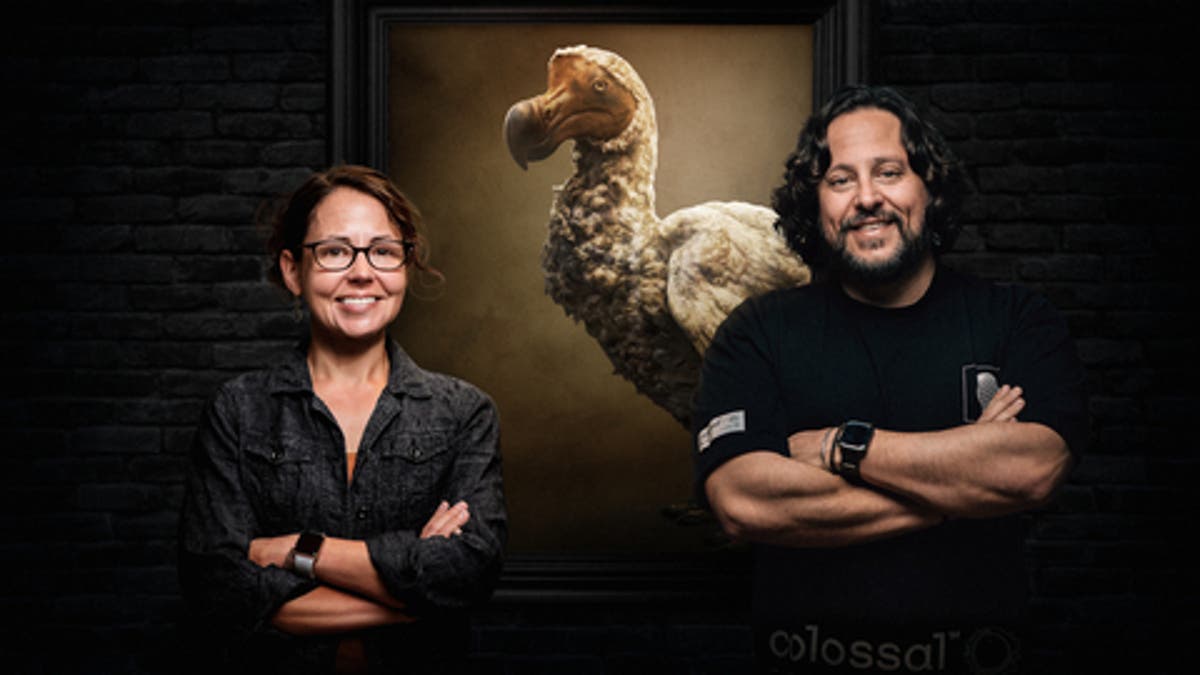 Scientists vow to ‘de-extinct’ the dodo bird