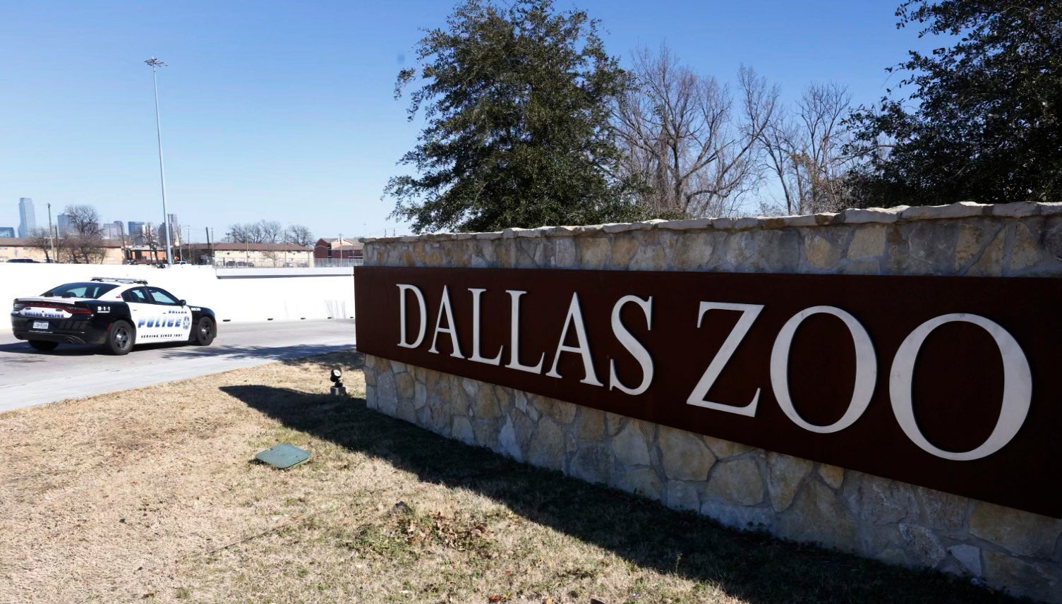 Dallas Zoo Missing Animals Explainer