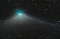What does the ‘exotic’ green comet look like in the night sky?