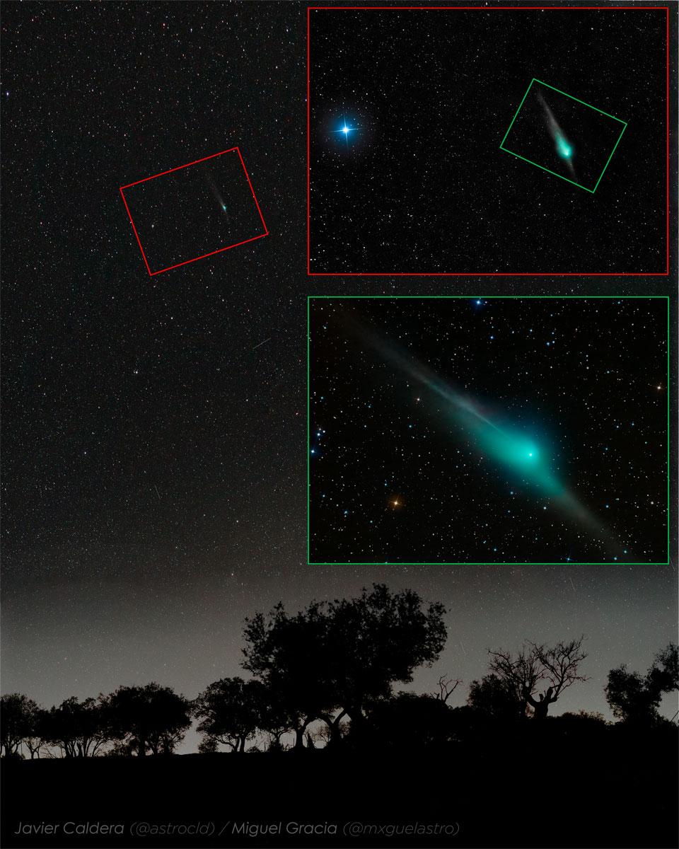 Triple view of comet ZTF