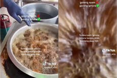 Viral TikTok shows what happens when you accidentally drop an iPhone into boiling oil