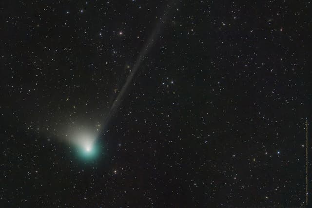 <p>Green comet making its closest approach to Earth in 50,000 years (Dan Bartlett/Nasa)</p>
