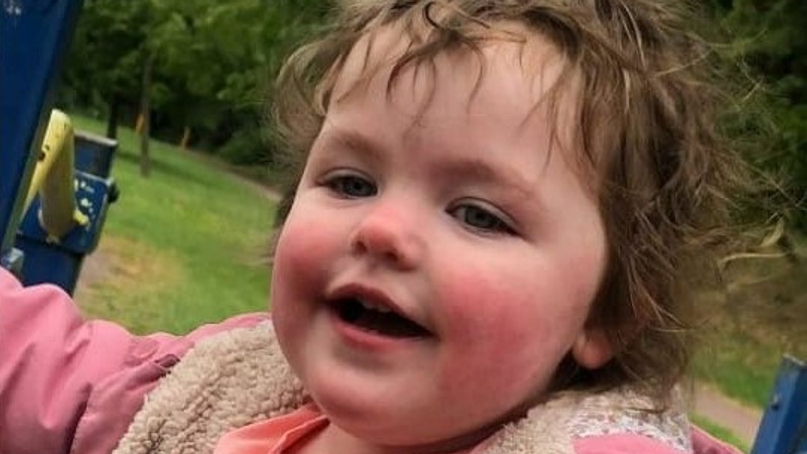 Four-year-old Alice Stones was also mauled to death by a dog in her back garden in February 2023