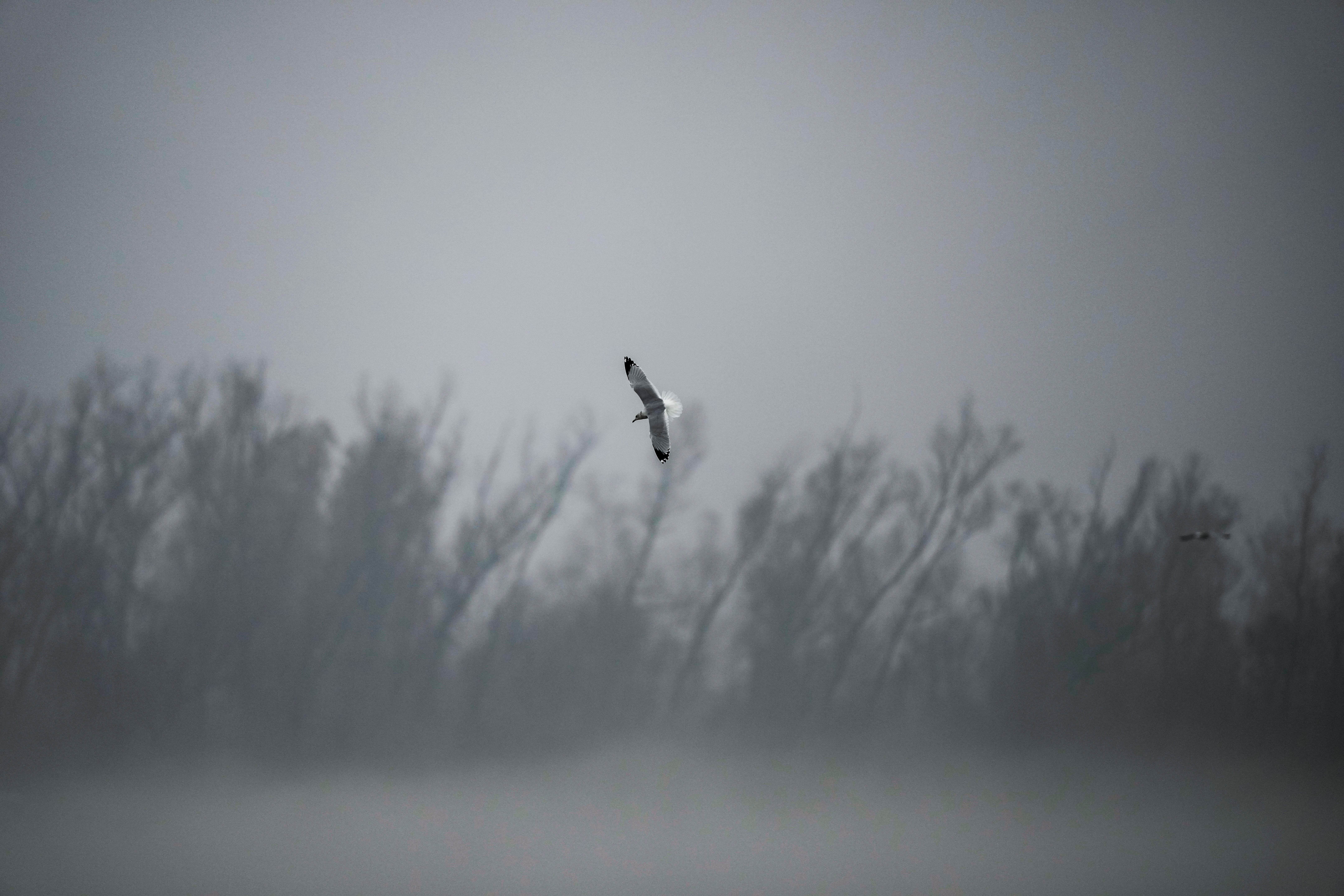 Drought Pumping Water West