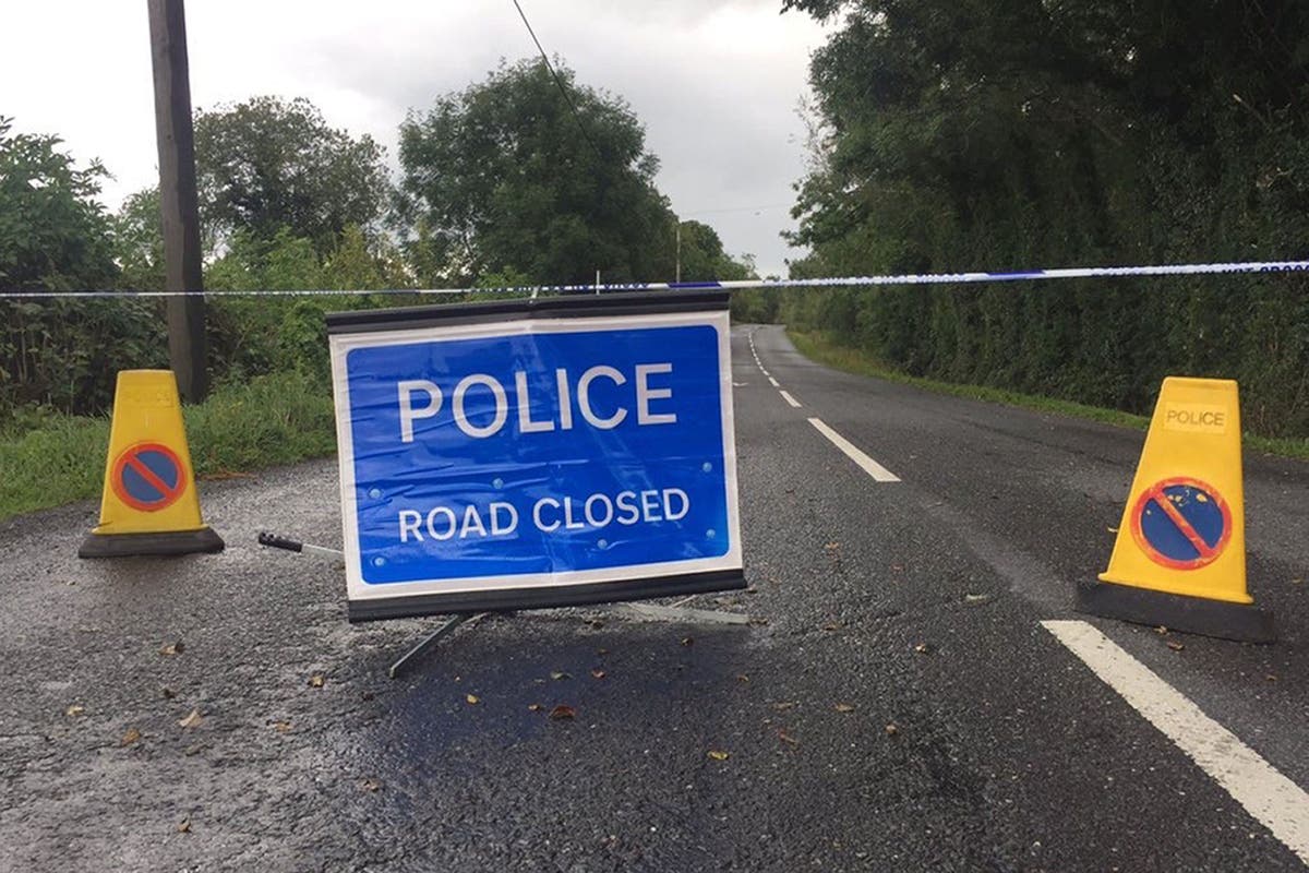 First-time metal detectorist tells of panic after finding WWI mortar bomb