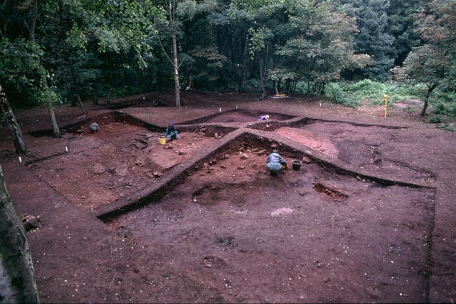 A study has found the first solid scientific evidence that Vikings brought animals to Britain (Julian Richards/University of York/PA)