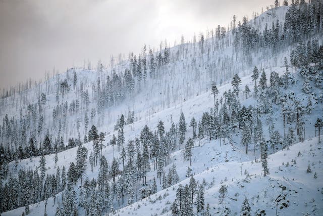 <p>California has been hit by a string of heavy winter storms since December </p>
