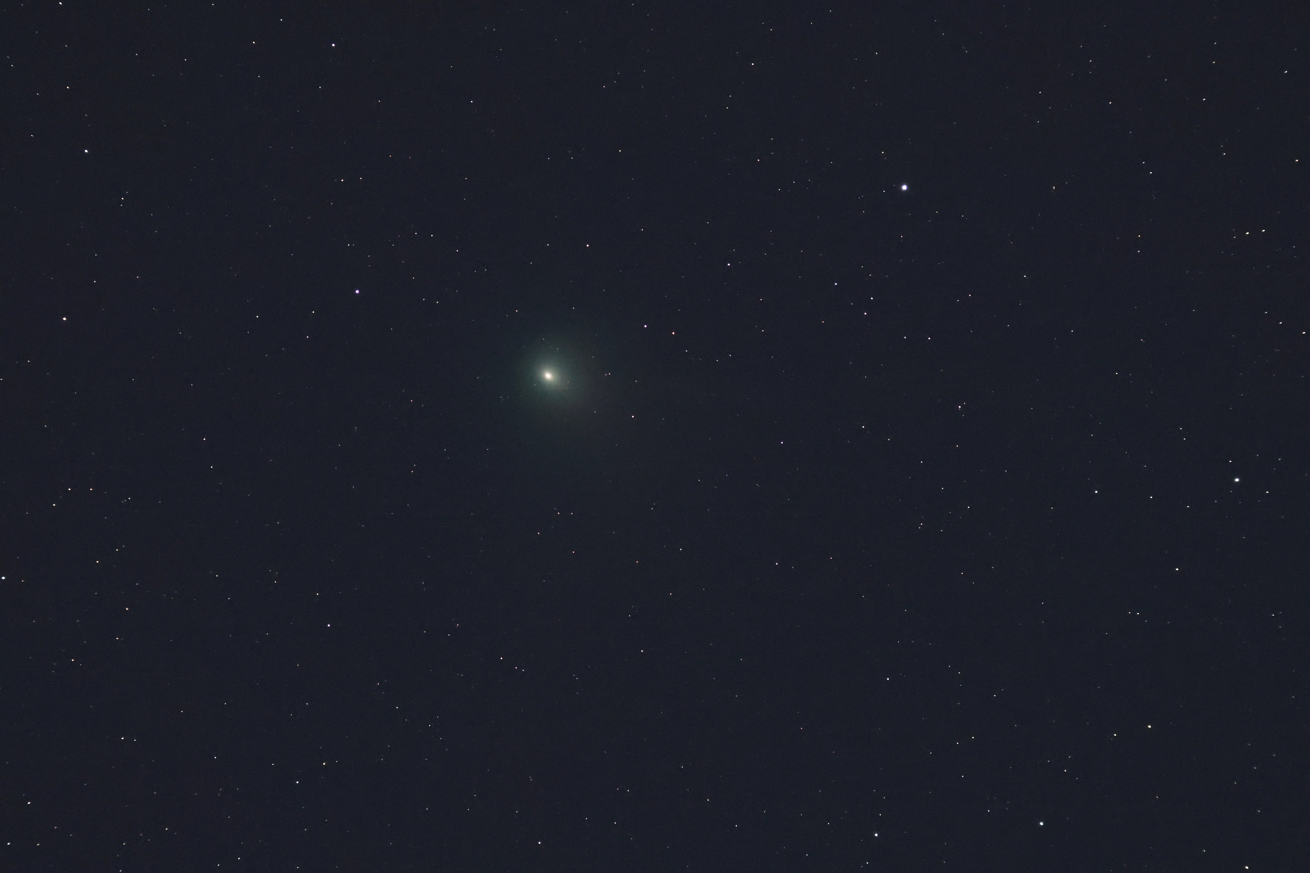 A view of a green comet named Comet C/2022 E3 (ZTF), over Kryoneri, Greece, February 1, 2023.