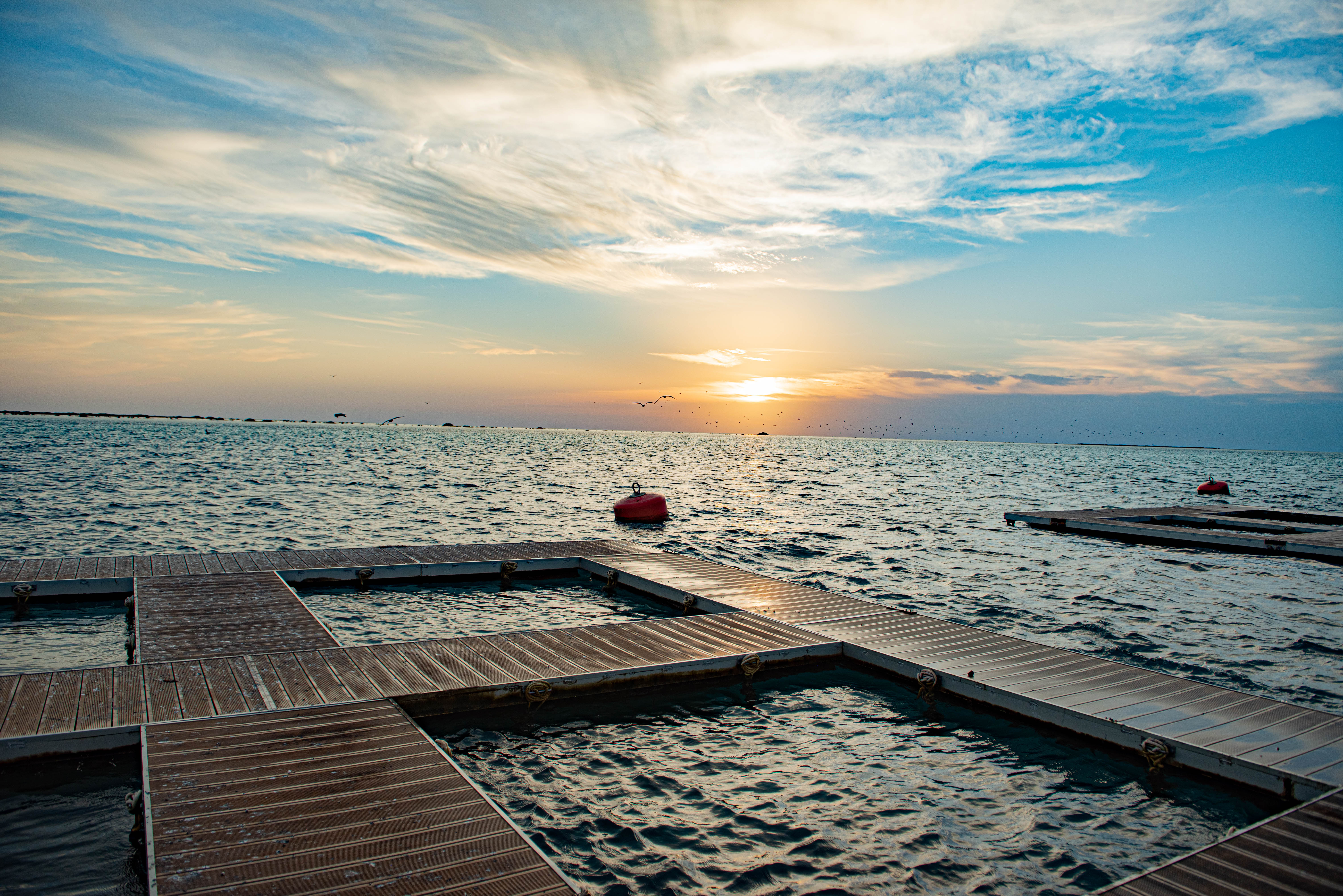 The sun sets on the Red Sea, with the planks of the coral nurseries in the foreground