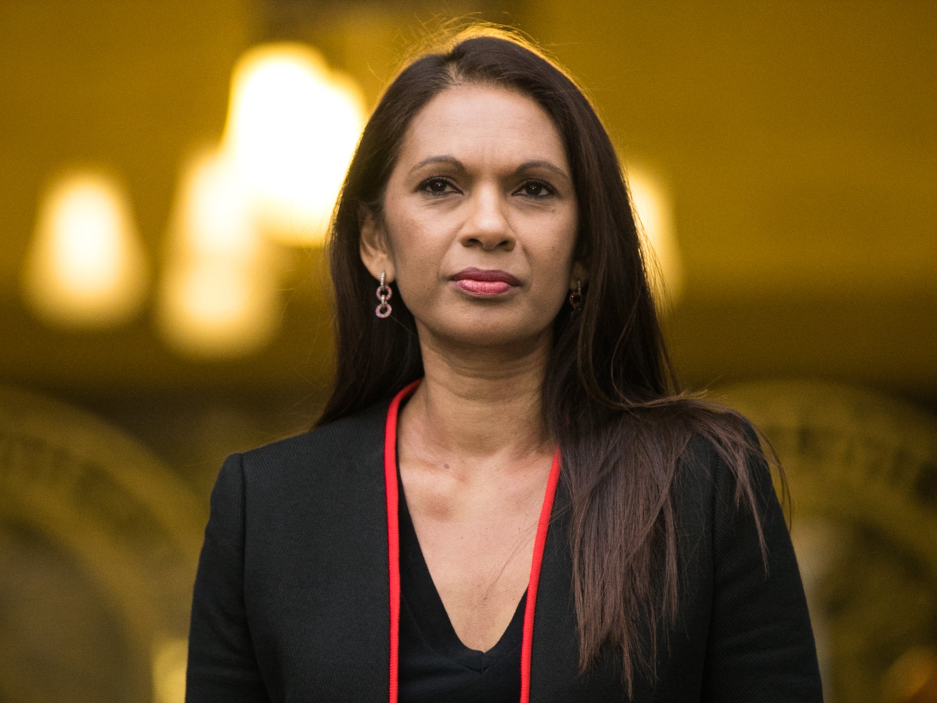 Gina Miller said it is ‘nearly impossible for small political parties to access banking in the UK’