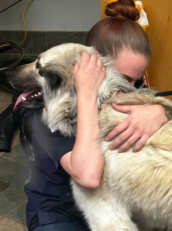 After seeing a viral video made by the shelter, the woman got in touch with staff and was finally reunited with Lilo