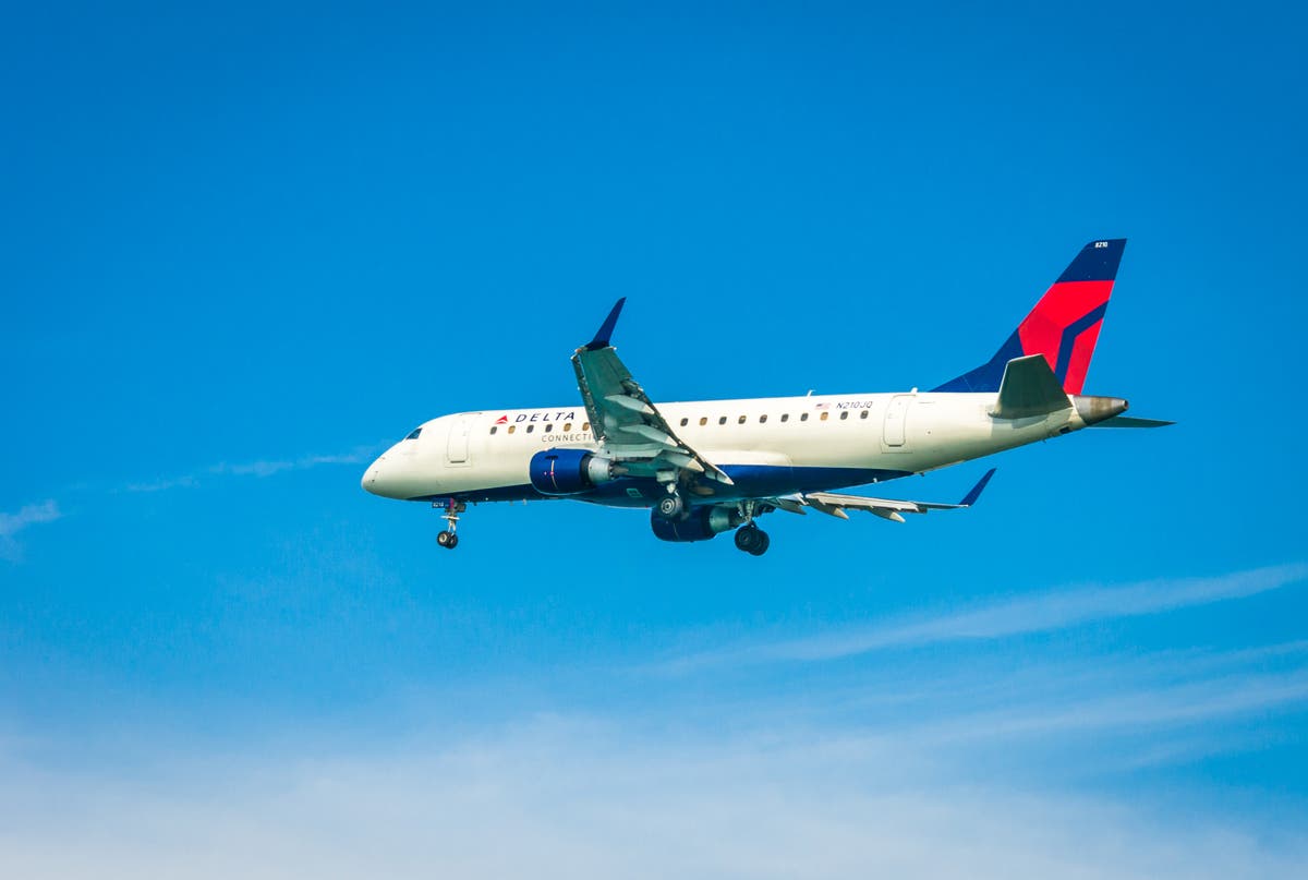 Delta flight attendant ‘tells passenger she has a stupid face’
