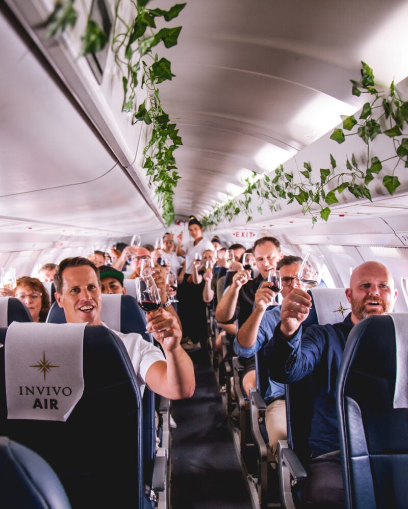 Passengers sipped wine onboard an aircraft complete with hanging vine decorations