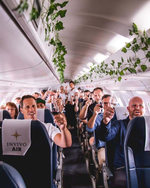 <p>Passengers sipped wine onboard an aircraft complete with hanging vine decorations </p>