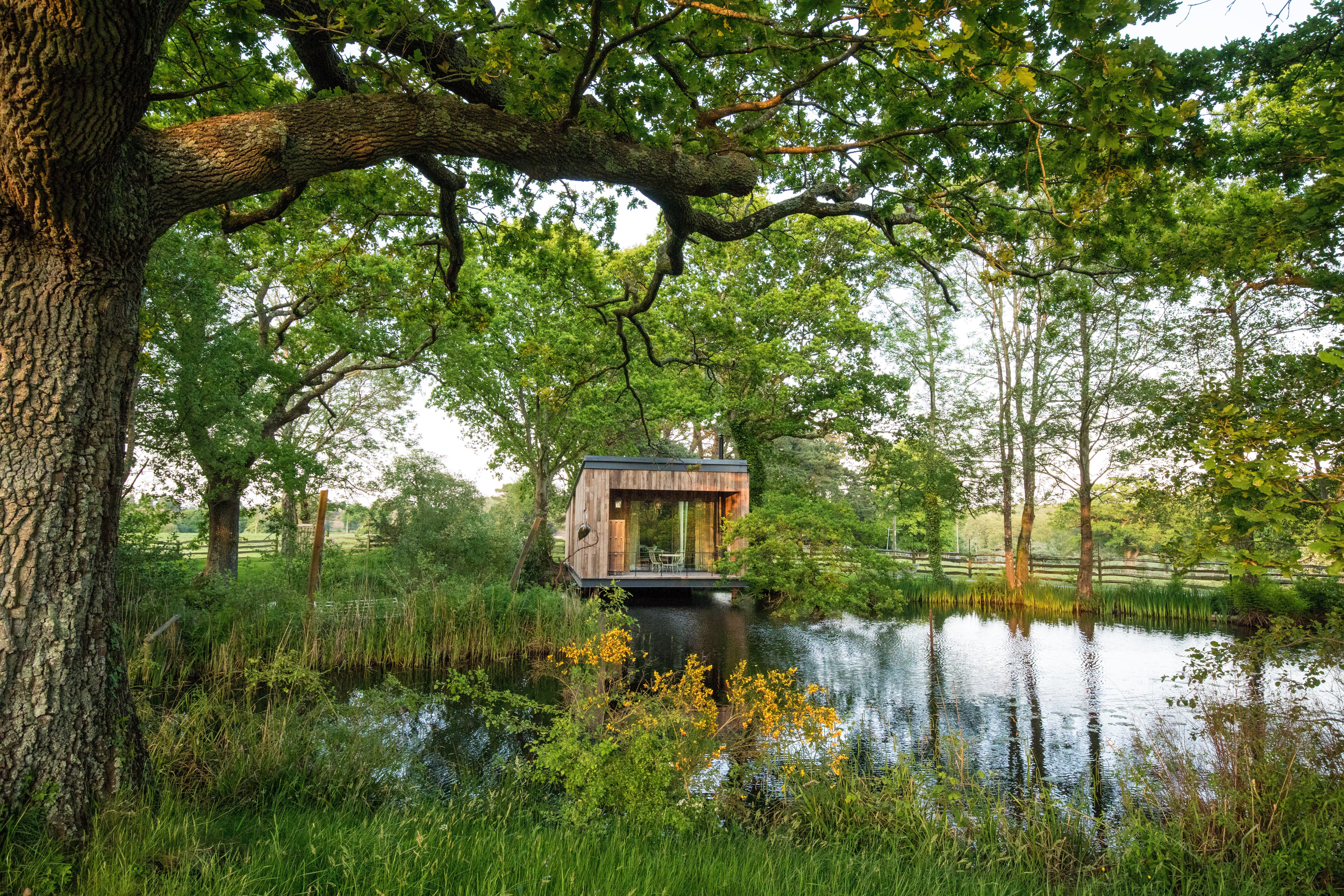 Immerse yourself in nature at Lime Wood’s Lake Cabin