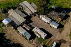 Farmworker pleads not guilty to killing 7 at mushroom farms