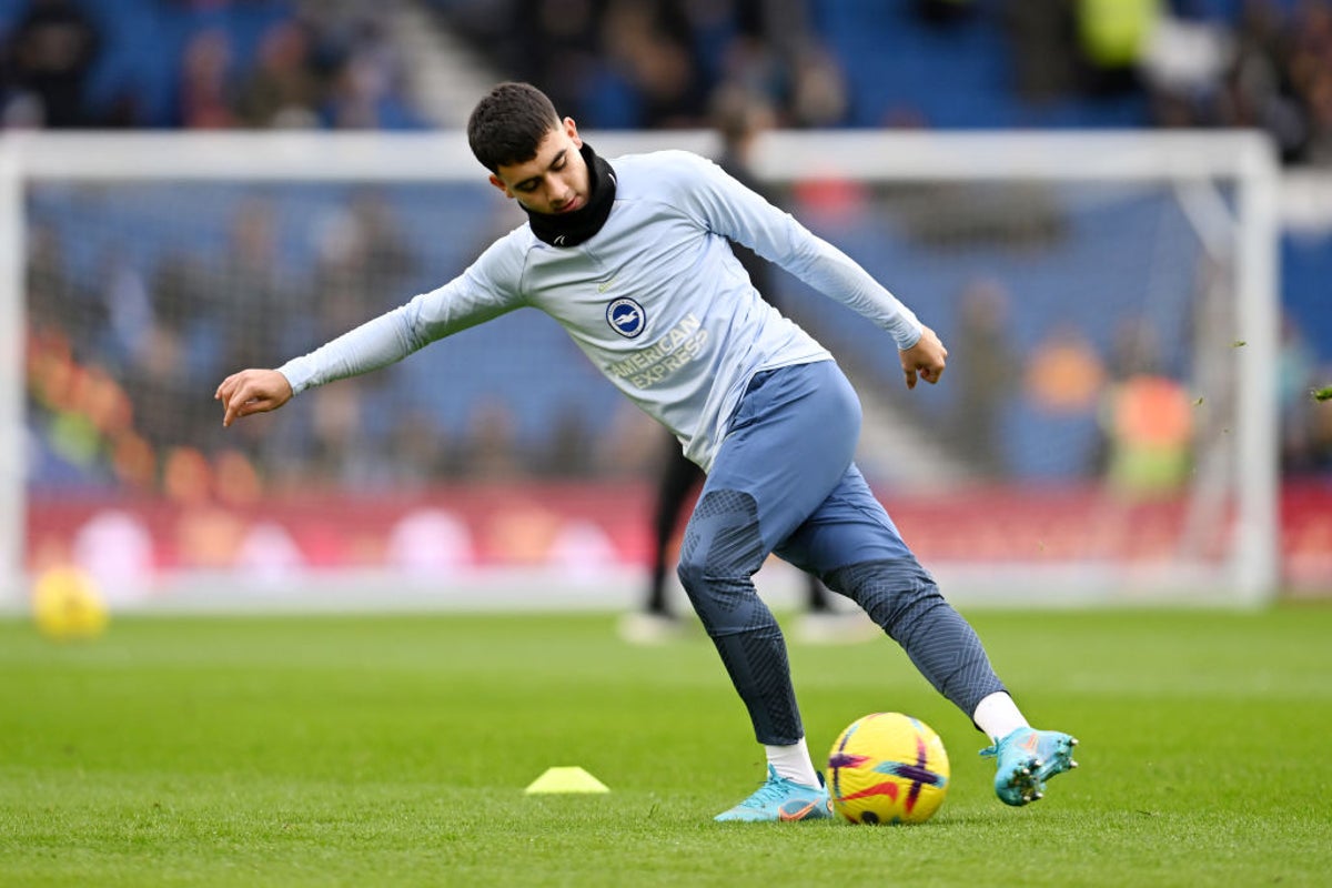 Brighton & Hove Albion vs AFC Bournemouth LIVE: Premier League latest score, goals and updates from fixture