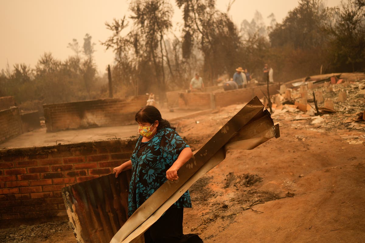 Chile wildfires spread amid heat wave as death toll rises The Independent