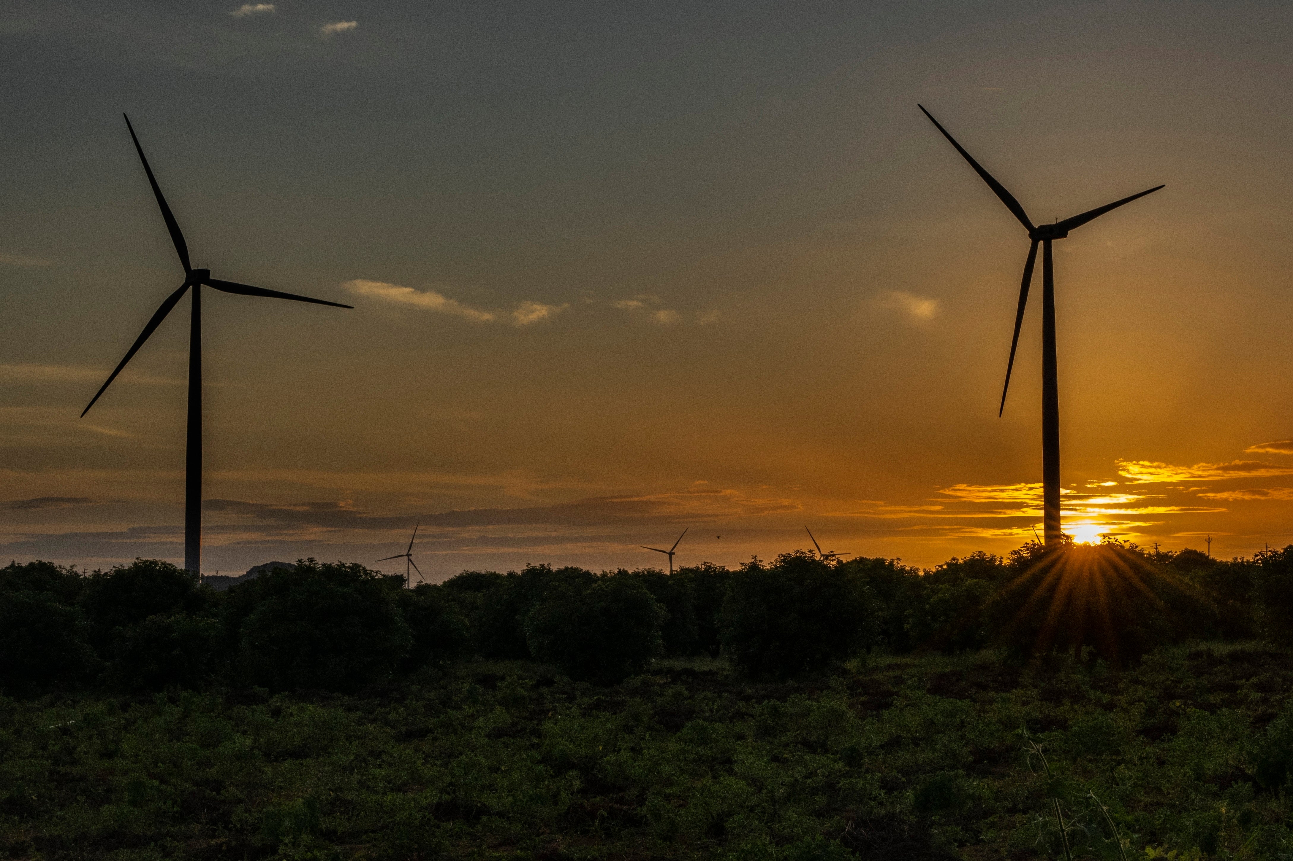 Climate India Energy Week