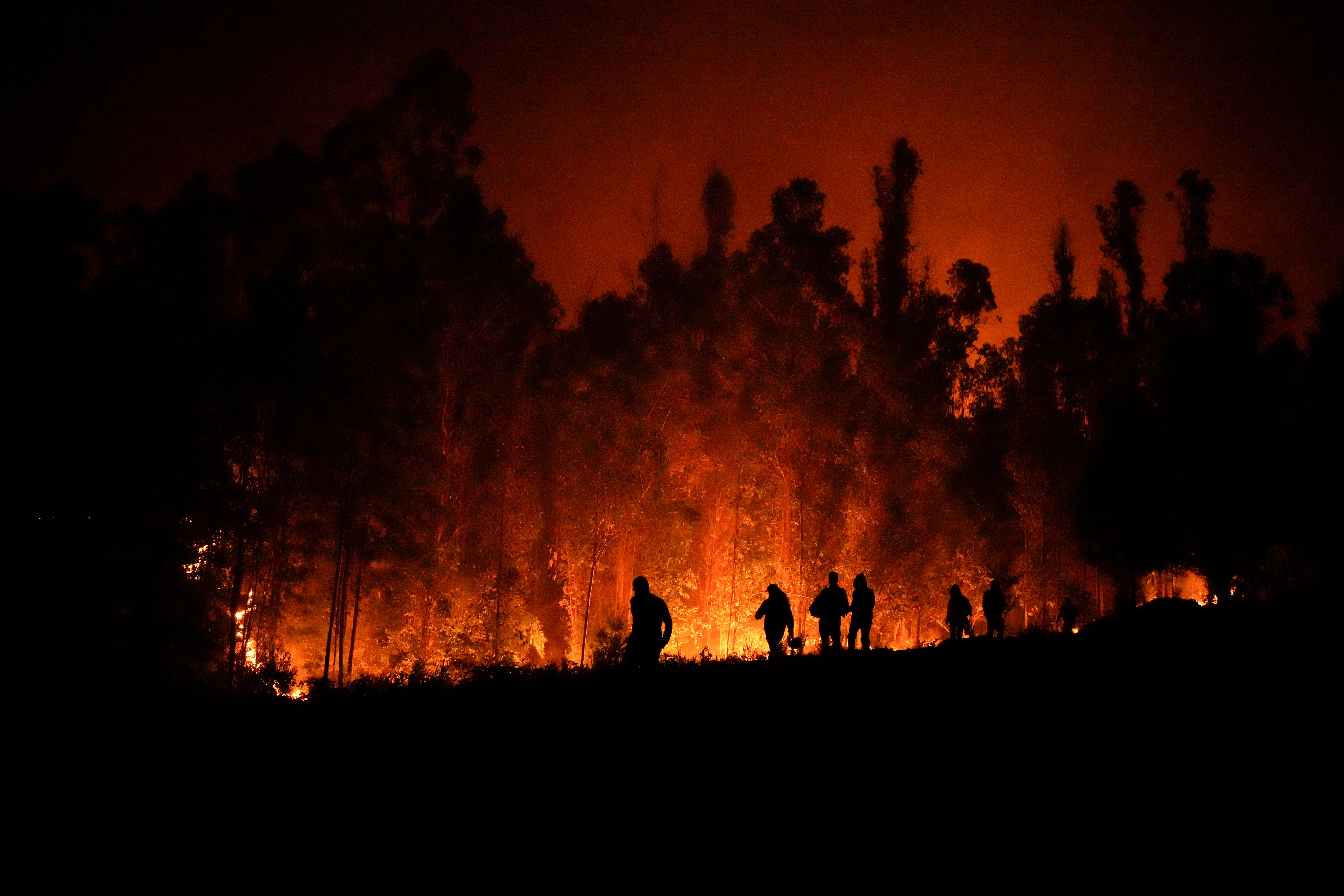 <p>File image:  Volunteers carry supplies for firefighters near trees burning in Puren, Chile, late on Saturday. January has set record for hottest temperatures for the month ever  </p>