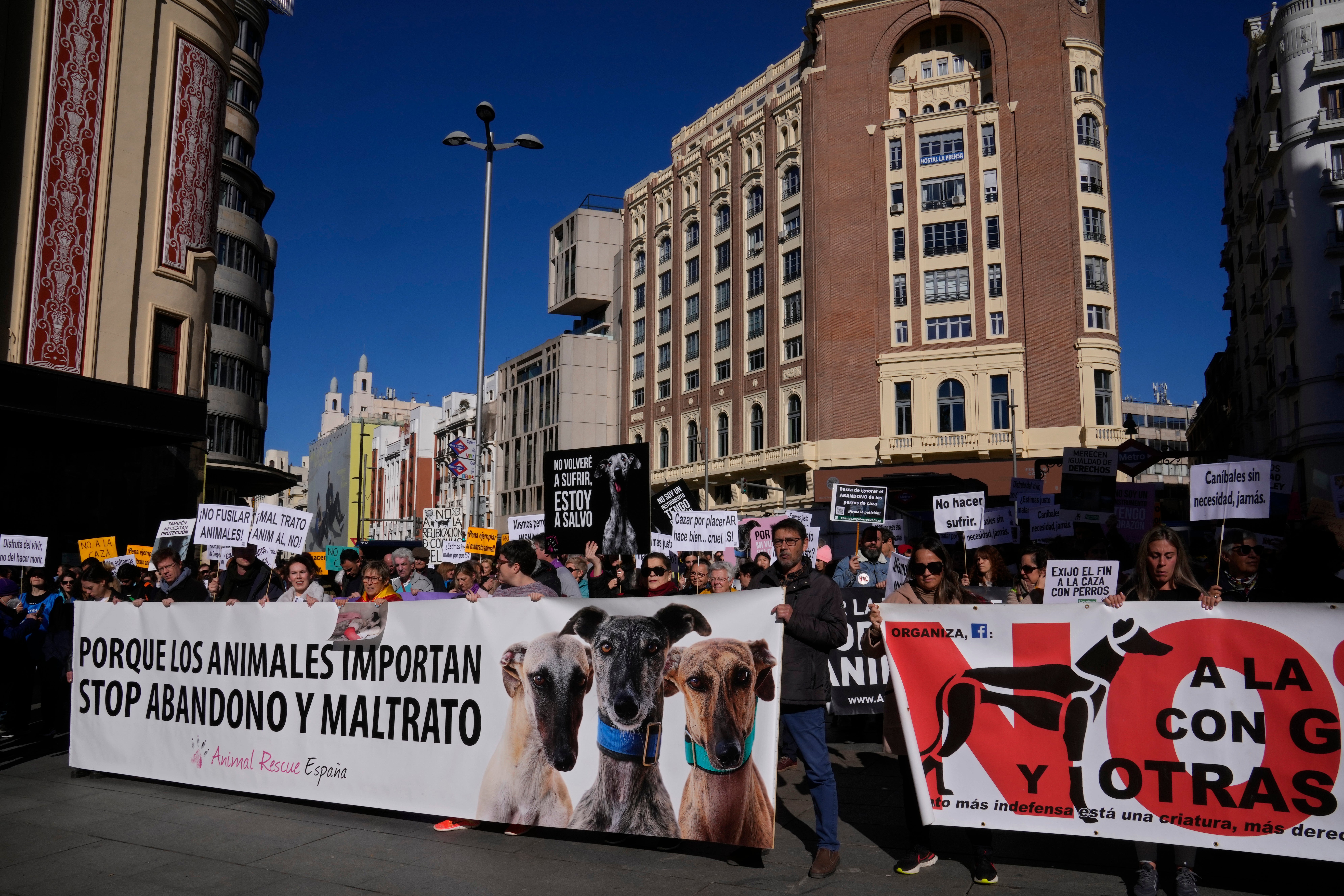 Spain Animal Rights