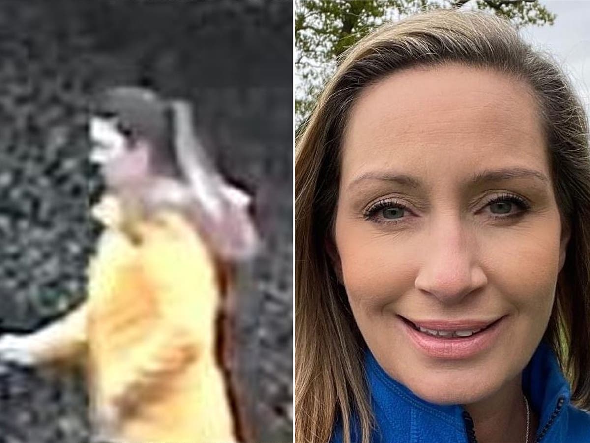 Private search and rescue team to join missing dog walker operation