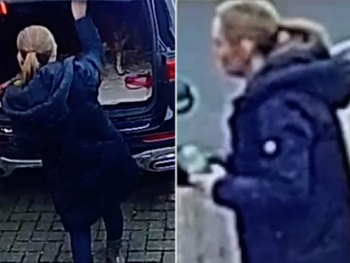 Images released showing missing dog walker on day she disappeared