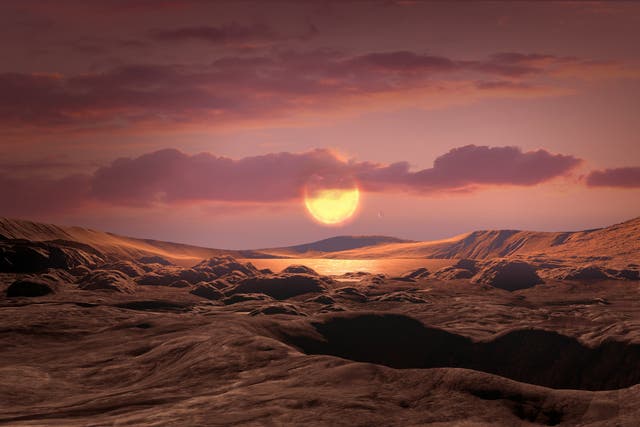<p>Artist’s conception of a rocky Earth-mass exoplanet like Wolf 1069 b orbiting a red dwarf star</p>