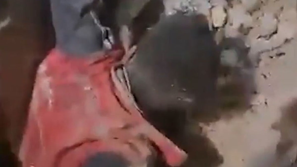 Moment child rescued from rubble in Syria after 7.8 magnitude earthquake