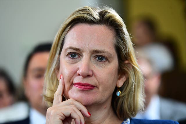 <p>Former home secretary Amber Rudd said Rishi Sunak must fix the UK’s ‘catastrophic’ relationship with France (Victoria Jones/PA)</p>