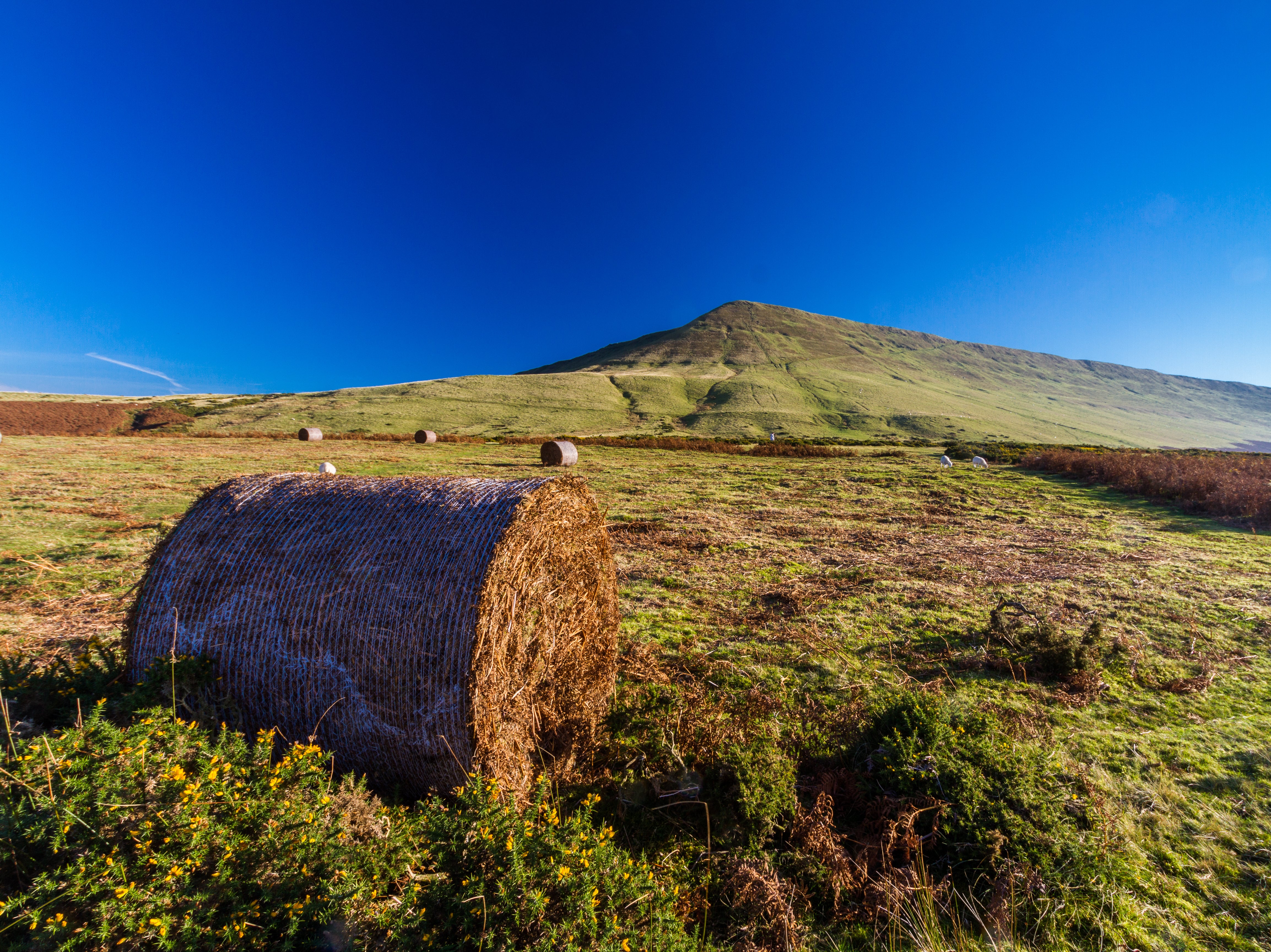 Hay Bluff in the Black Mountains