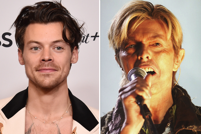 <p>Harry Styles and David Bowie</p>