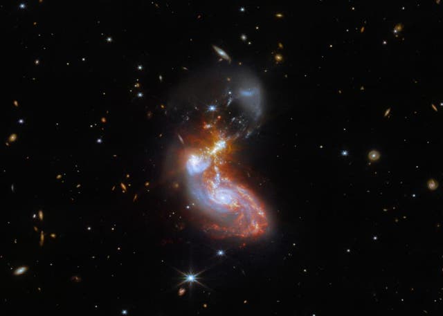 <p>Merging galaxy pair about 500 million light-years away toward constellation Delphinus</p>