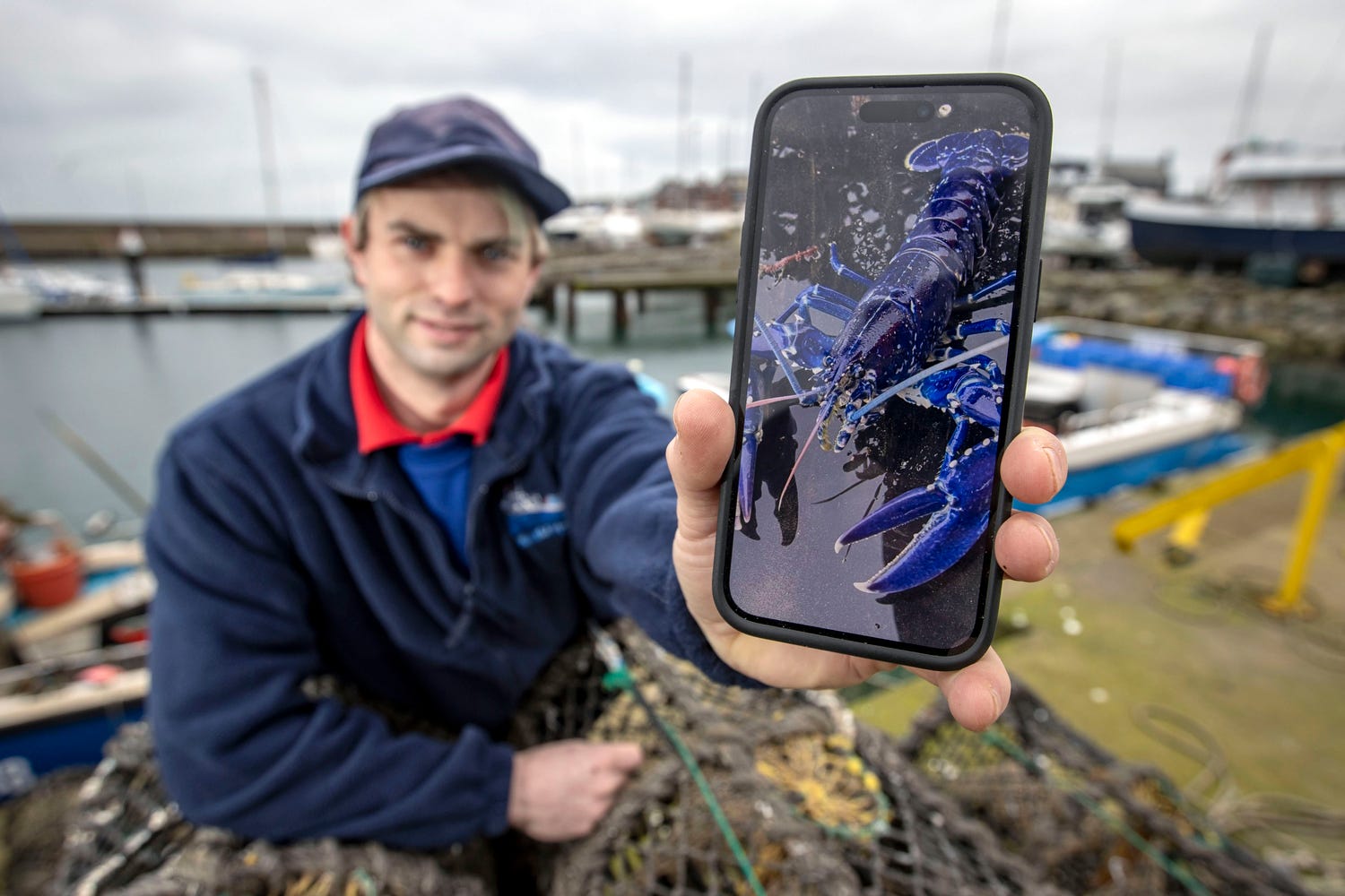 Stuart Brown skipper of the Huntress fishing boat for Seafresh, at Bangor Marina, Northern Ireland, showing an image on a phone of a rare blue lobster he said he found in one of the boat’s pots. PA Photo. Picture date: Monday February 06 2023. See PA story ULSTER Lobster. Photo credit should read: Liam McBurney/PA Wire